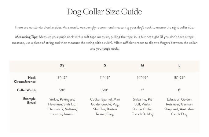 Hot Pink Dog Collar