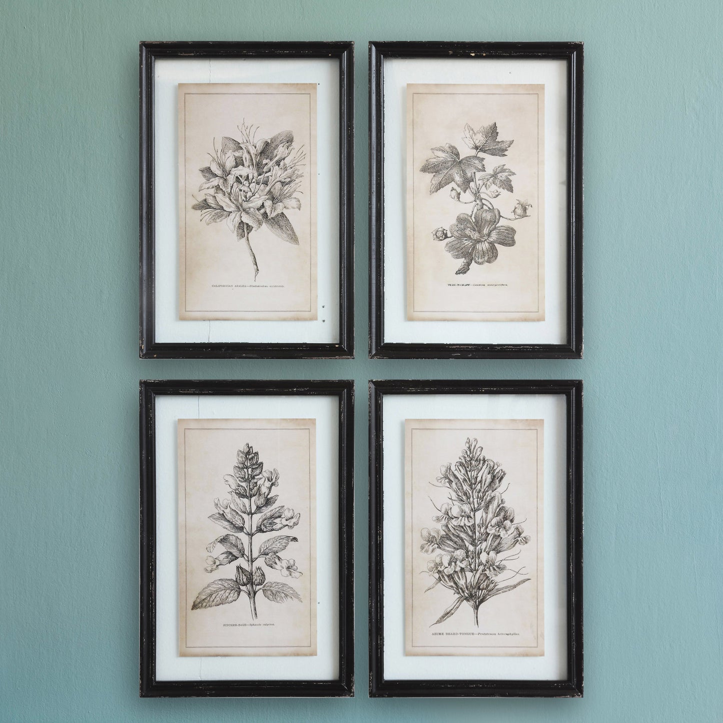 Framed Wall Decor with Floral Image
