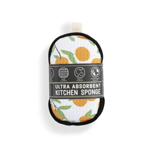 Citrus Orange Absorbent Reversible Sponges Set of 2