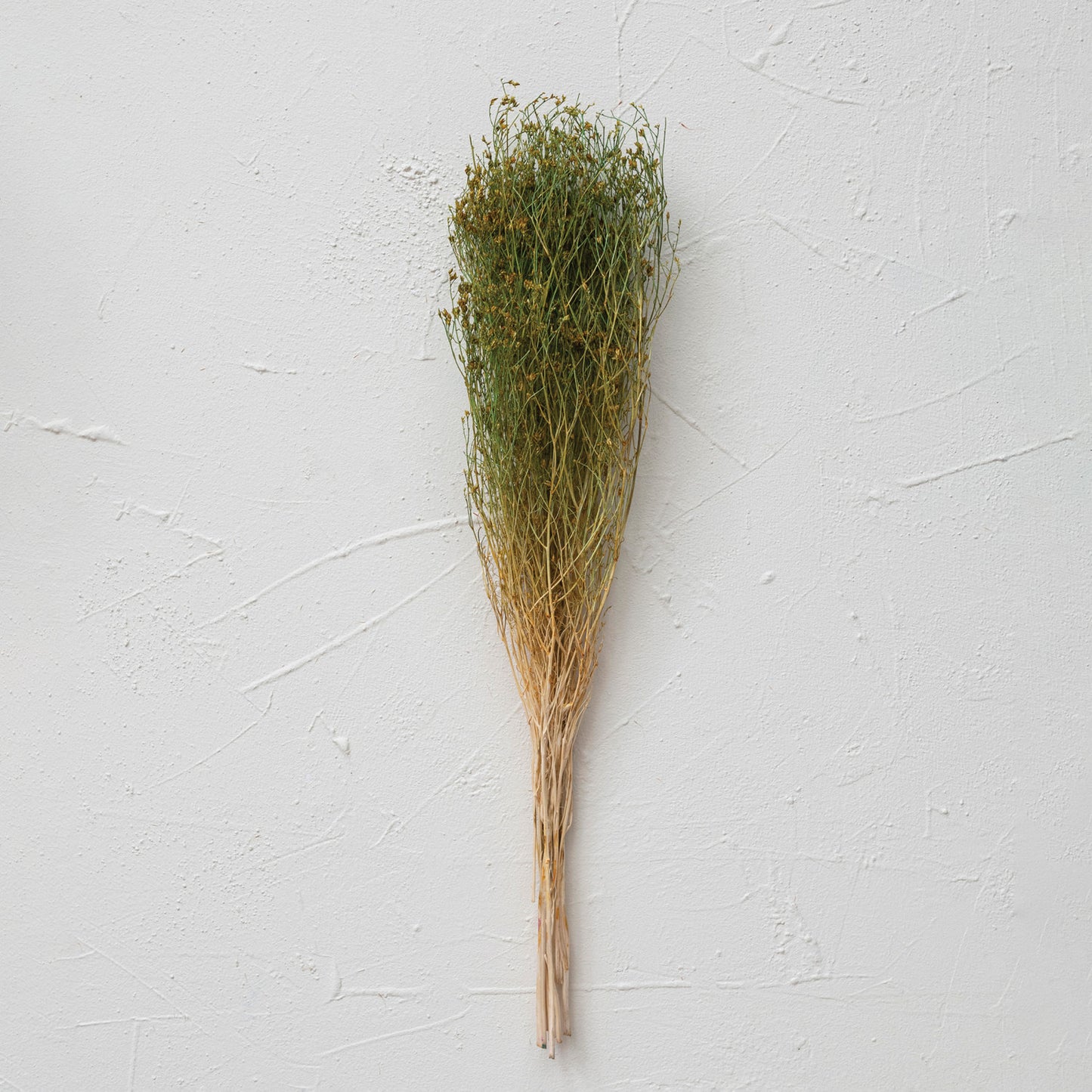 Dried Natural Love Grass Bunch, Green & Yellow