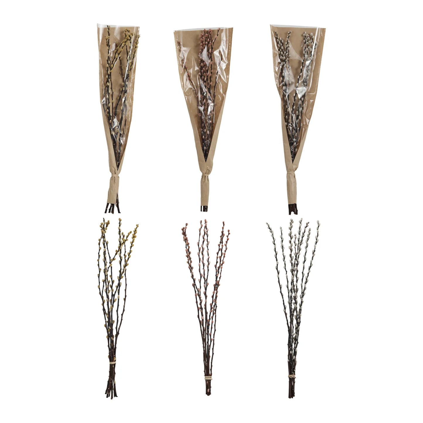 Dried Natural Pussy Willow Bunch