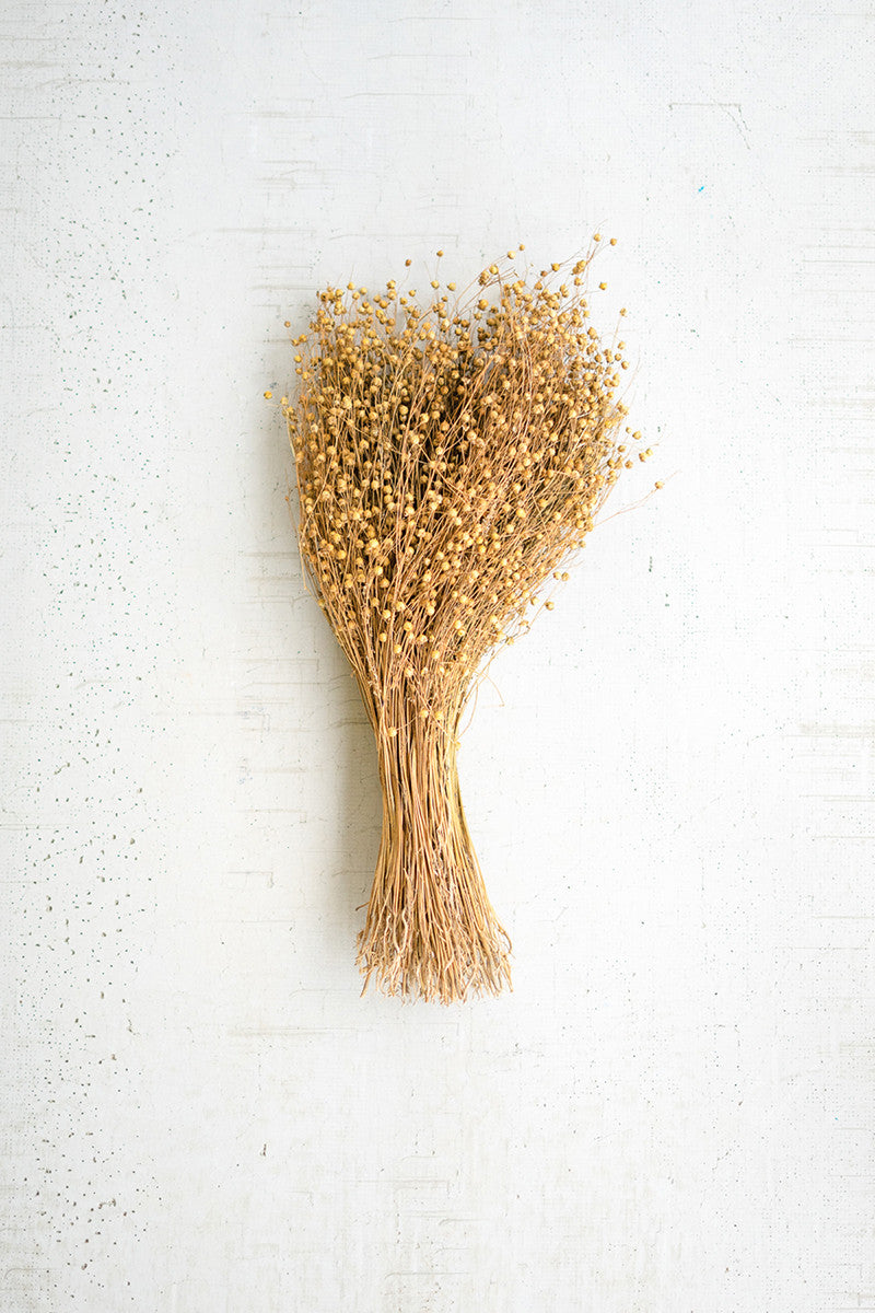 Lino Stems
