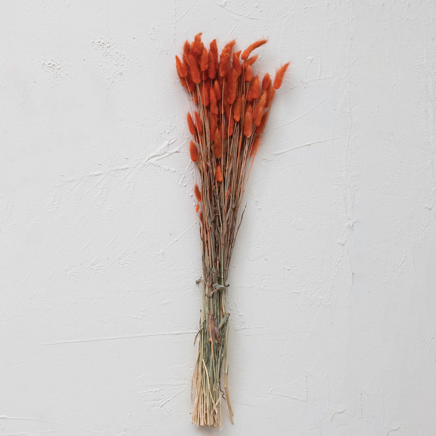 Dried Natural Bunny Tail Bunch