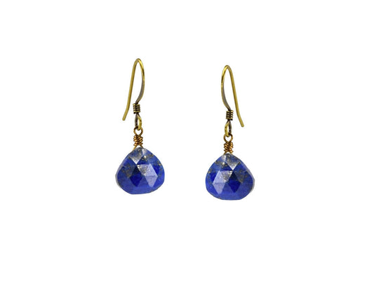 Blue Lapis Simple Classic Earrings