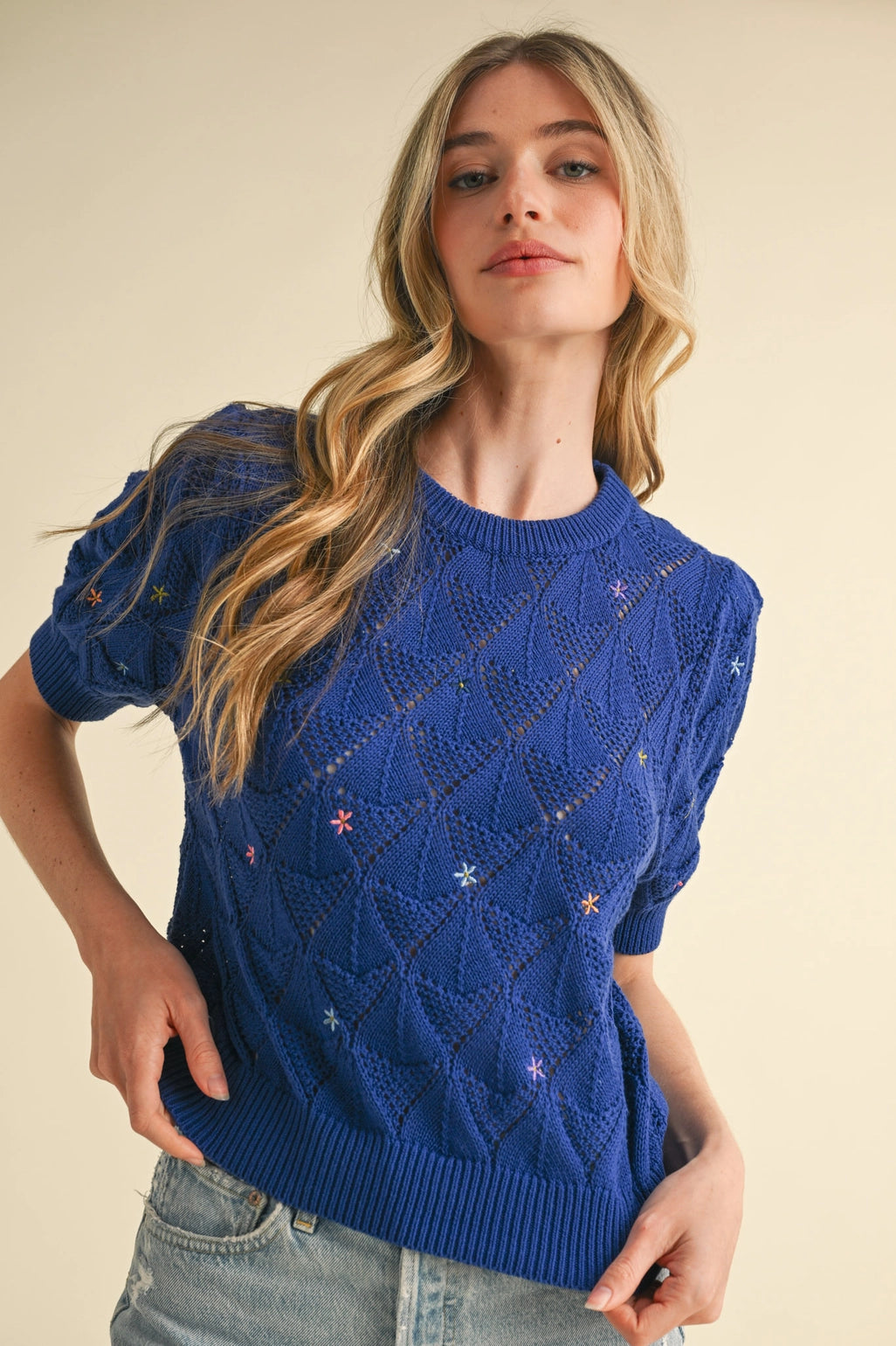 Pointelle Knit Sweater with Floral Embroidery