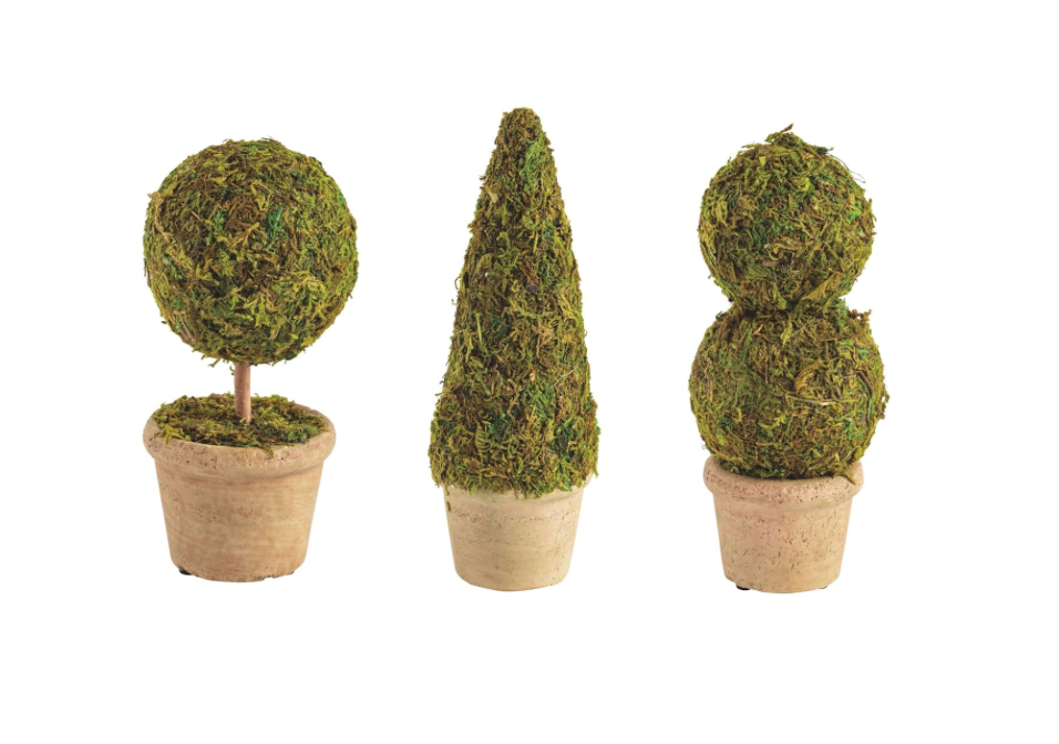 Moss Topiary Pot