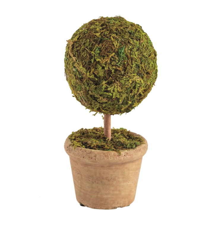 Moss Topiary Pot