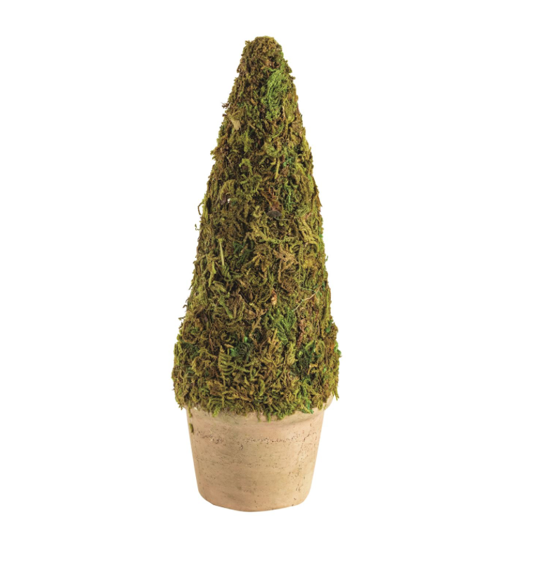 Moss Topiary Pot