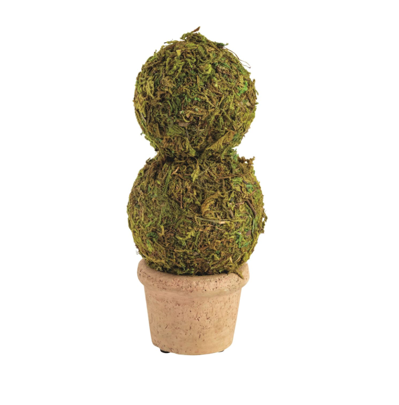 Moss Topiary Pot