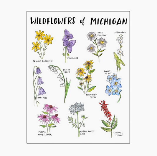 Wildflowers of Michigan Everyday Card