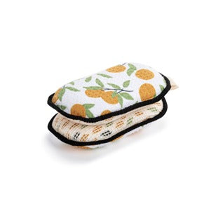 Citrus Orange Absorbent Reversible Sponges Set of 2
