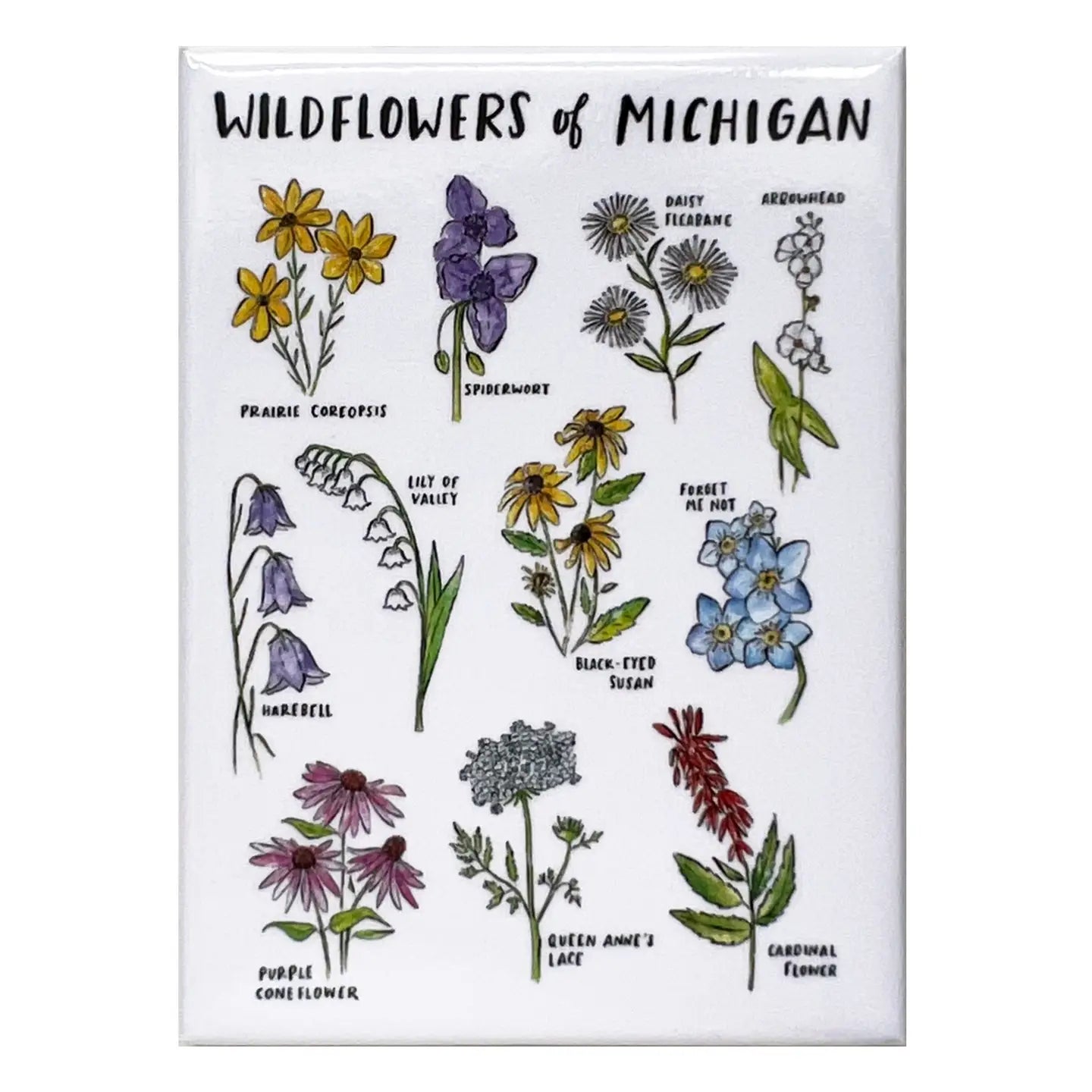 Wildflowers of Michigan Rectangle Magnet