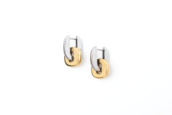2 in 1 Mixed Metal Earrings