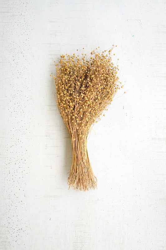 Lino Stems