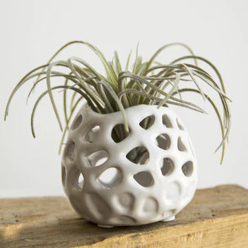 Small White Planter